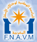 FNAVM